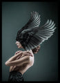 Iris | PLAKAT