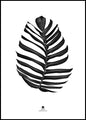 Jungle Leaf black | INDRAMMET BILLEDE