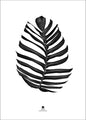 Jungle Leaf black | PLAKAT
