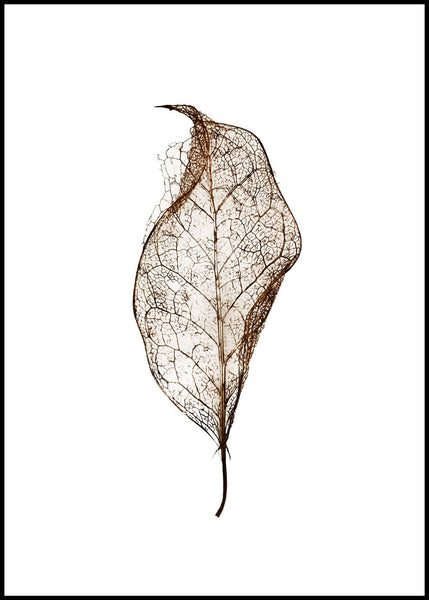 Leaf | INDRAMMET BILLEDE Indrammet billede MF