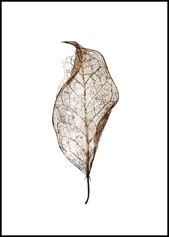 Leaf | INDRAMMET BILLEDE Indrammet billede MF