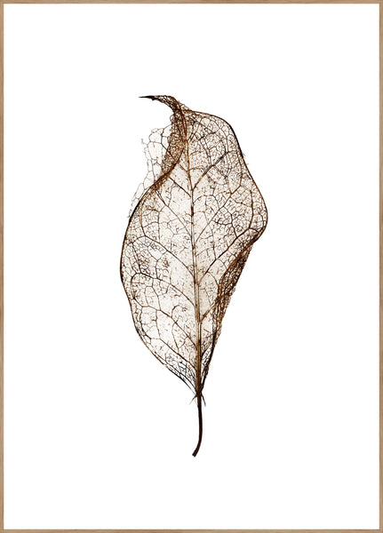 Leaf | INDRAMMET BILLEDE Indrammet billede MF