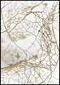 Leaf skeleton | INDRAMMET BILLEDE