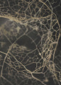 Leaf skeleton dark | PLAKAT