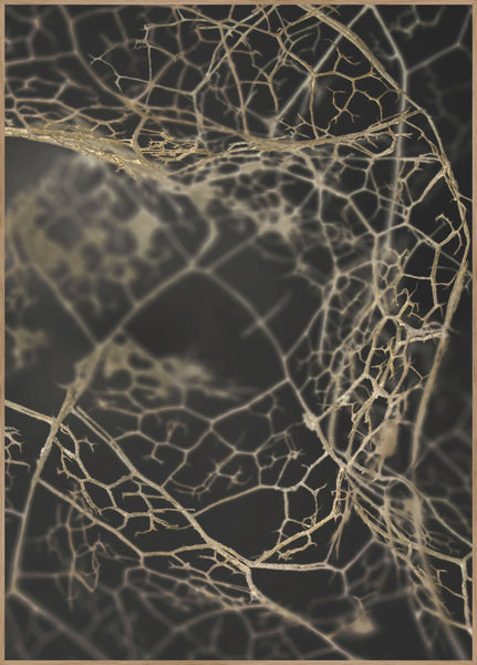 Leaf skeleton dark | INDRAMMET BILLEDE Indrammet billede MF