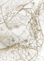 Leaf skeleton | PLAKAT