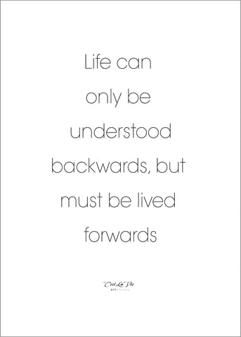 Life can only | PLAKAT Plakat MF
