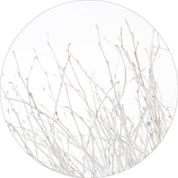 Light and white | CIRCLE ART Circle Art ART COPENHAGEN   