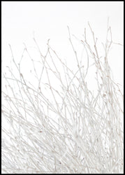 Light and white | INDRAMMET BILLEDE Indrammet billede MF 30x40 Sort