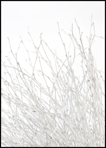 Light and white | INDRAMMET BILLEDE Indrammet billede MF 30x40 Sort