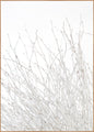 Light and white | INDRAMMET BILLEDE