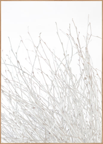 Light and white | INDRAMMET BILLEDE Indrammet billede MF 30x40 Egeramme