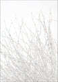 Light and white | PLAKAT