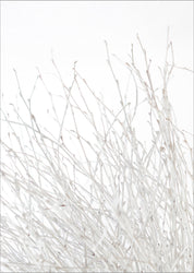 Light and white | PLAKAT Plakat MF