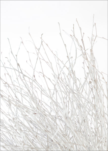 Light and white | PLAKAT Plakat MF