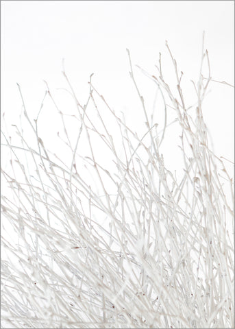 Light and white | PLAKAT Plakat MF