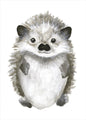 Little hedgehog | PLAKAT