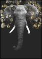 Magnificent | INDRAMMET BILLEDE