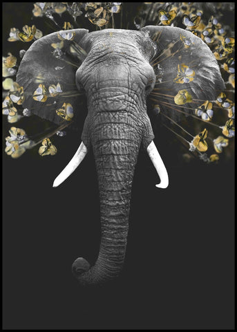 Magnificent | INDRAMMET BILLEDE Indrammet billede MF