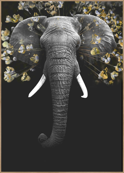 Magnificent | INDRAMMET BILLEDE Indrammet billede MF