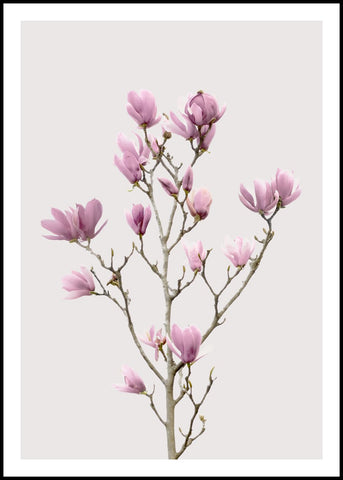 Magnolia 2 | INDRAMMET BILLEDE Indrammet billede MF
