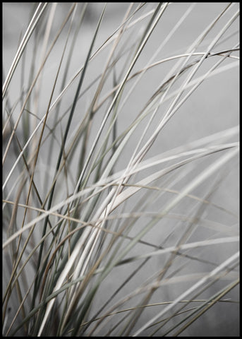Mellow Grasses 1 | INDRAMMET BILLEDE Indrammet billede MF 30x40 Sort