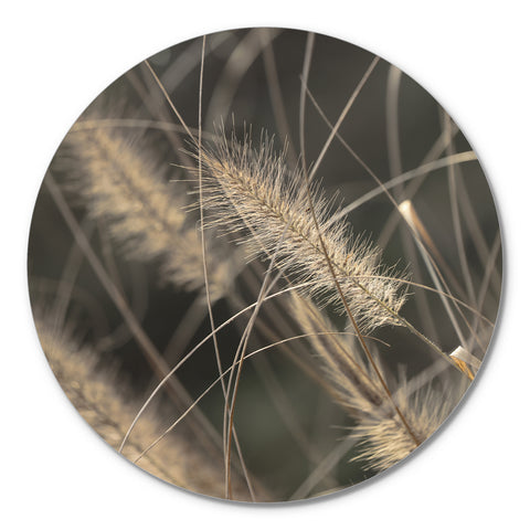 Mellow Grasses 2 | CIRCLE ART Circle Art ART COPENHAGEN   