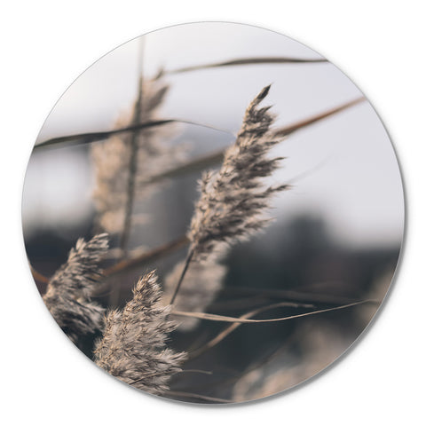 Mellow Grasses 3 | CIRCLE ART Circle Art ART COPENHAGEN   