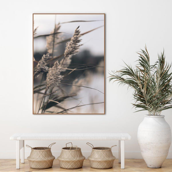 Mellow Grasses 3 | INDRAMMET BILLEDE Indrammet billede MF