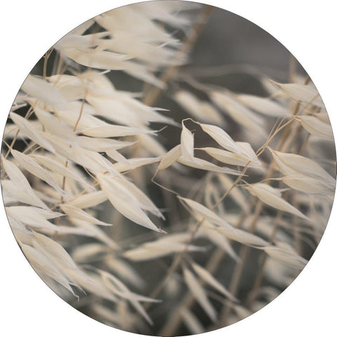 Mellow Grasses 4 | CIRCLE ART Circle Art ART COPENHAGEN   