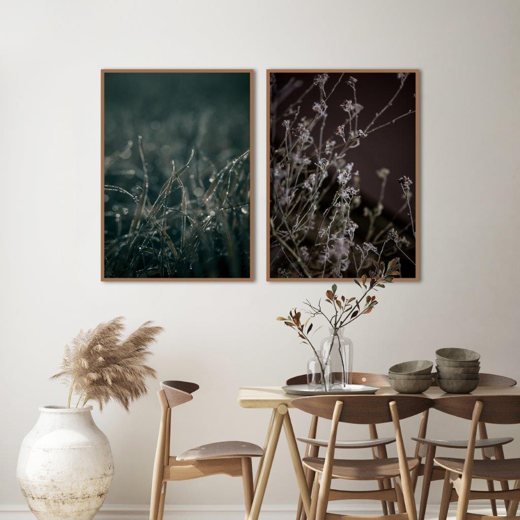 Mellow Grasses 5 | PLAKAT Plakat MF