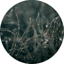 Mellow Grasses 5 | CIRCLE ART Circle Art ART COPENHAGEN   