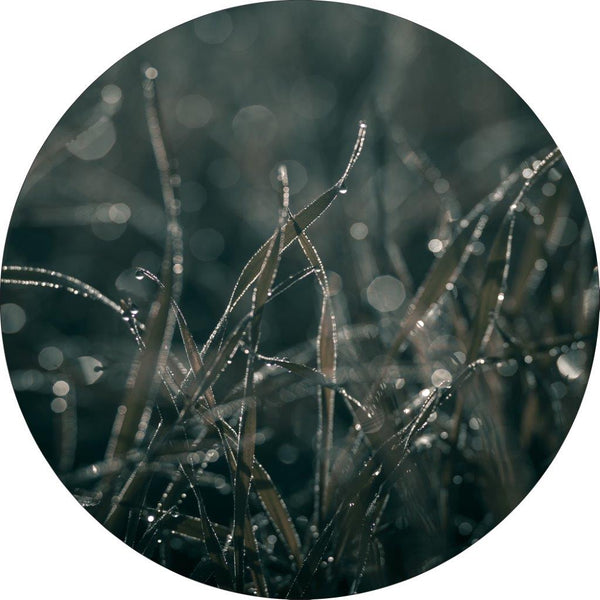 Mellow Grasses 5 | CIRCLE ART Circle Art ART COPENHAGEN   