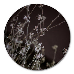 Mellow Grasses 6 | CIRCLE ART Circle Art ART COPENHAGEN   