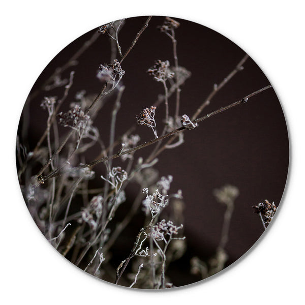 Mellow Grasses 6 | CIRCLE ART Circle Art ART COPENHAGEN   