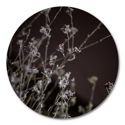 Mellow Grasses 6 | CIRCLE ART Circle Art ART COPENHAGEN   