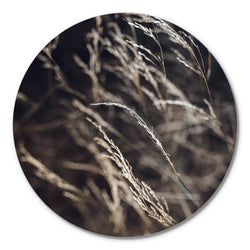 Mellow Grasses 7 | CIRCLE ART Circle Art ART COPENHAGEN   