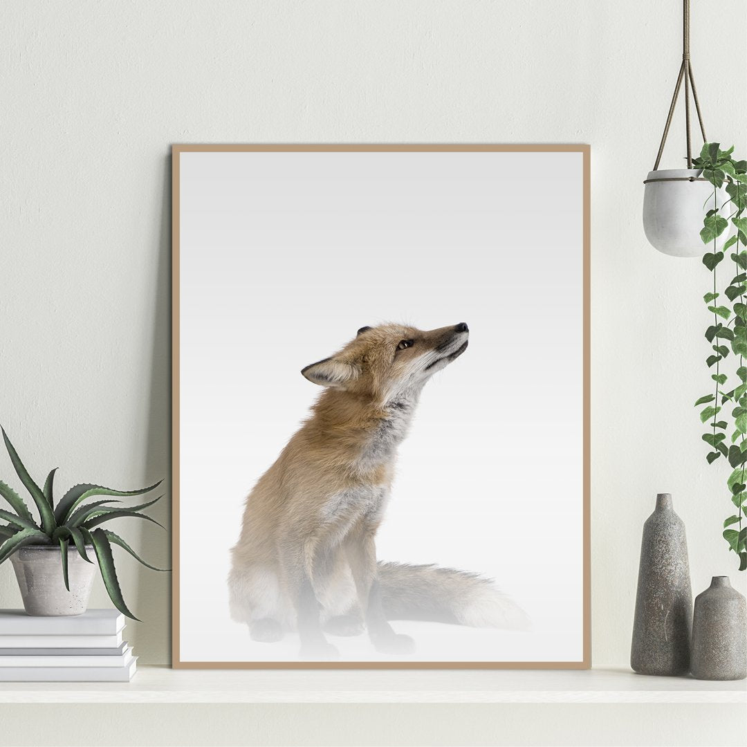 Misty Fox | PLAKAT Plakat MF