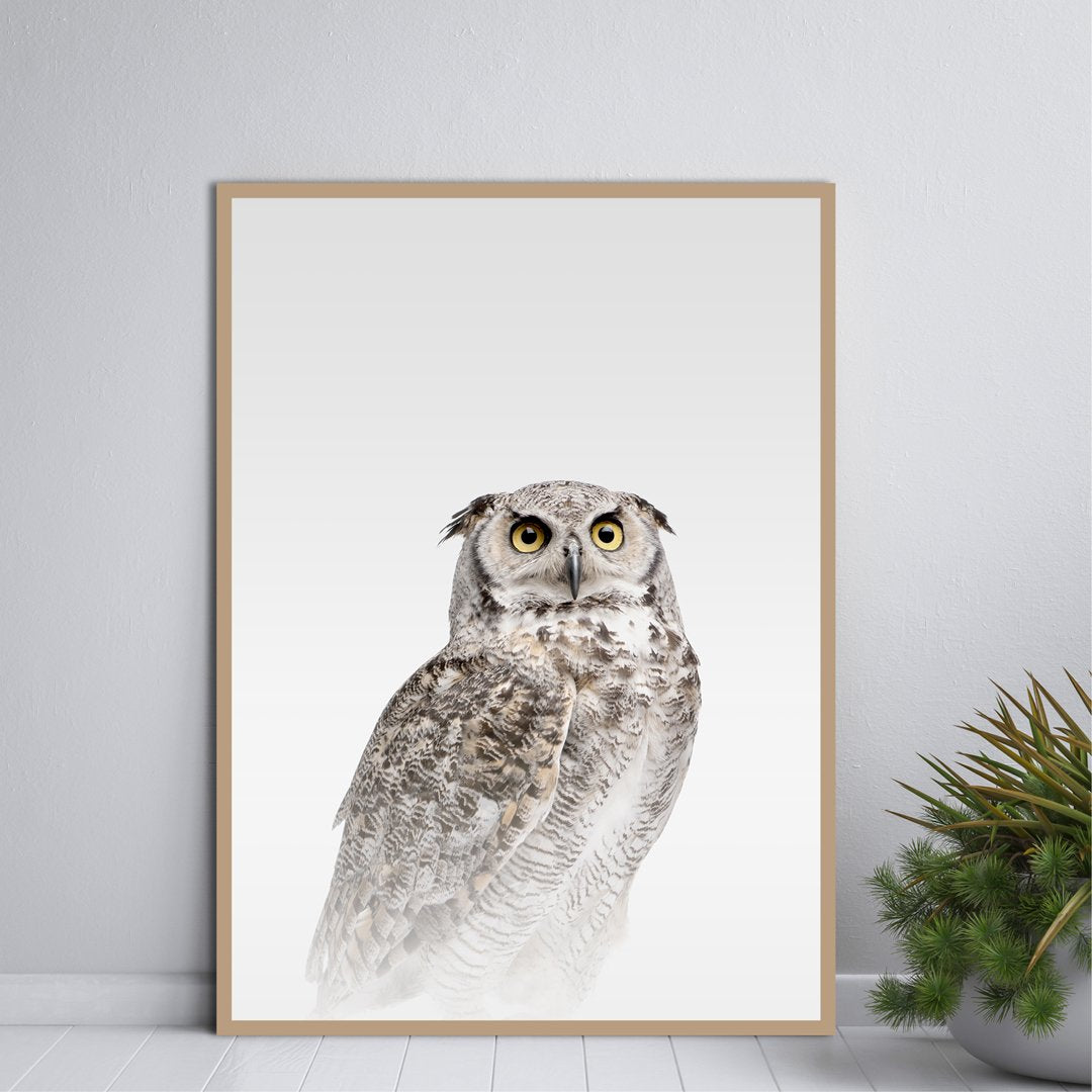 Misty Owl | PLAKAT Plakat MF