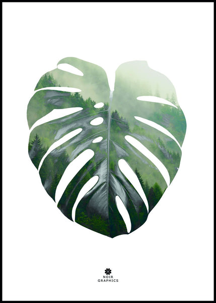 Monstera Leaf | INDRAMMET BILLEDE Indrammet billede MF