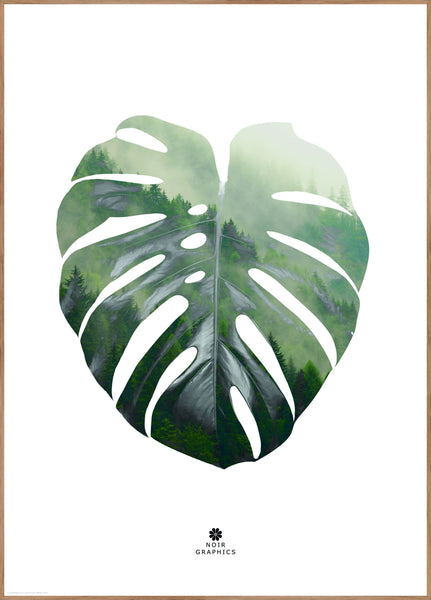 Monstera Leaf | INDRAMMET BILLEDE Indrammet billede MF