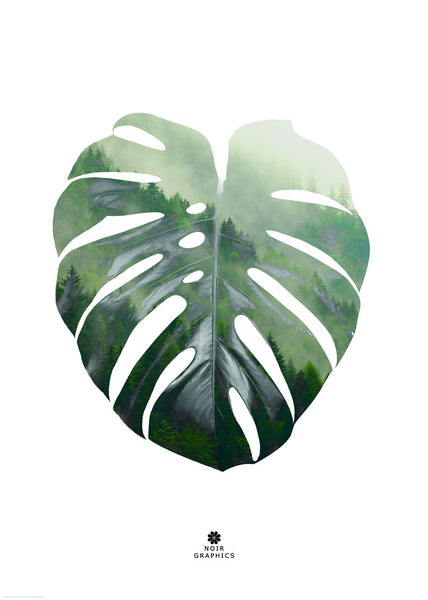 Monstera Leaf | INDRAMMET BILLEDE Indrammet billede MF