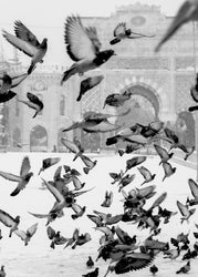 Moscow | PLAKAT | POSTER Plakat MF