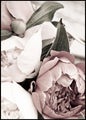Opulent 1 | INDRAMMET BILLEDE