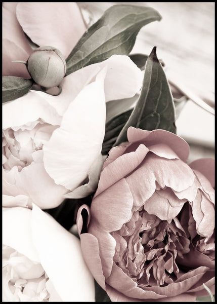 Opulent 1 | INDRAMMET BILLEDE Indrammet billede MF