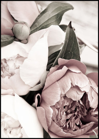 Opulent 1 | INDRAMMET BILLEDE Indrammet billede MF