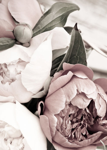 Opulent 1 | INDRAMMET BILLEDE Indrammet billede MF