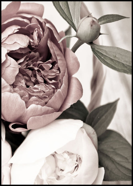 Opulent 2 | INDRAMMET BILLEDE Indrammet billede MF