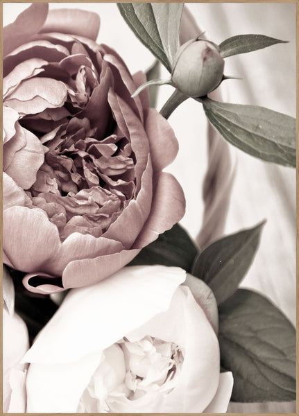 Opulent 2 | INDRAMMET BILLEDE Indrammet billede MF