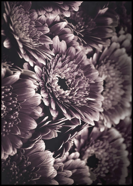 Opulent 4 | INDRAMMET BILLEDE Indrammet billede MF